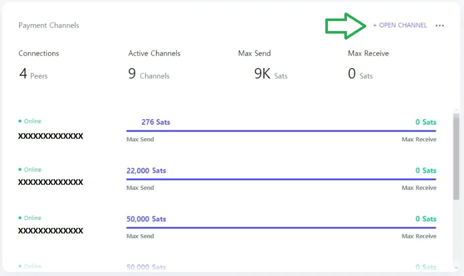open a lightning channel